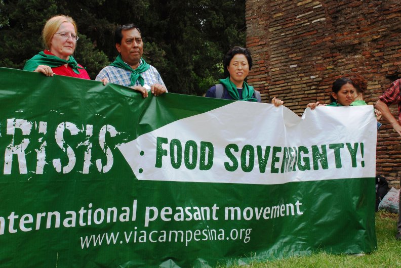 LVC Declaration | International Conference on Agrarian Reform and Rural Development (ICARRD) – 2006