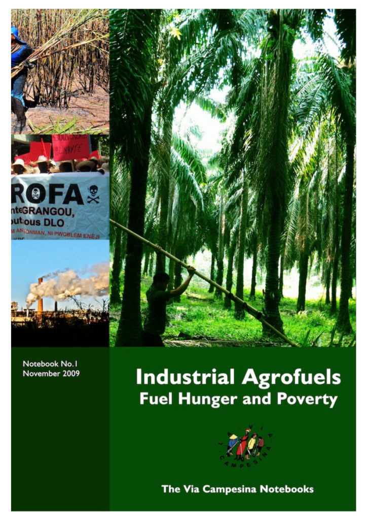 Industrial Agrofuels: Fuel hunger and Poverty
