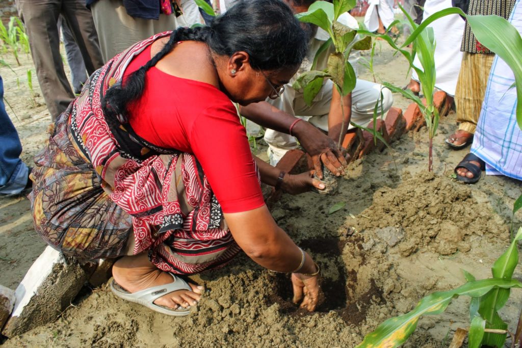 INDIA: Bihar’s agroecological farmers host international farmers’ delegation