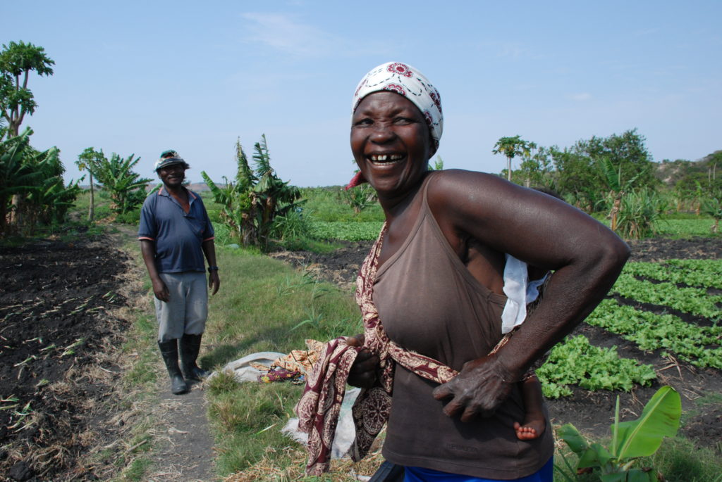Mozambican Peasants vs. the Great African Land Grab