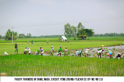 Support price offered by Indian government to farmers inadequate
