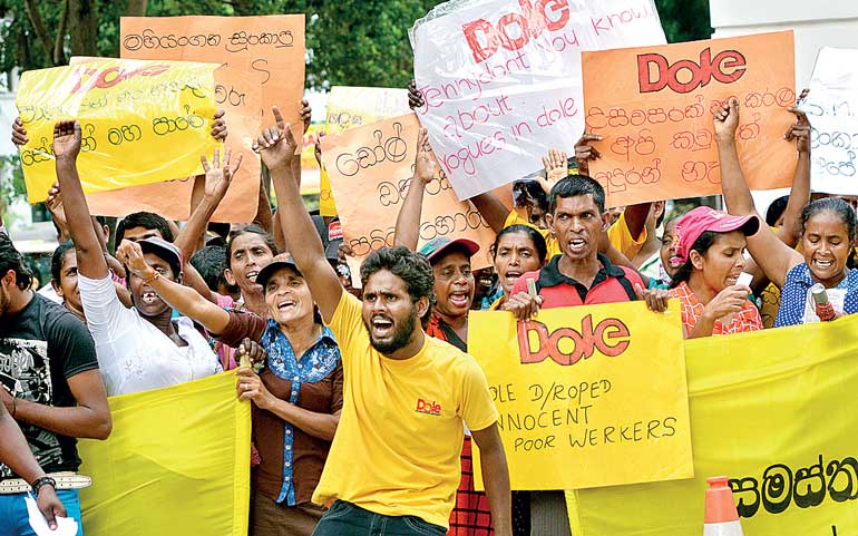 Government prepares to legitimize Dole Lanka’s illegitimate endeavors company allowed to retain forest land illegally encroached?