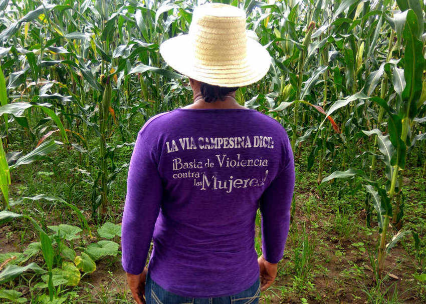 Traversing the dry corridor | an account of the peasant women cooperatives in Honduras