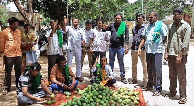 India: Farmers in Karnataka distribute mangoes for free to protest against steep fall in prices