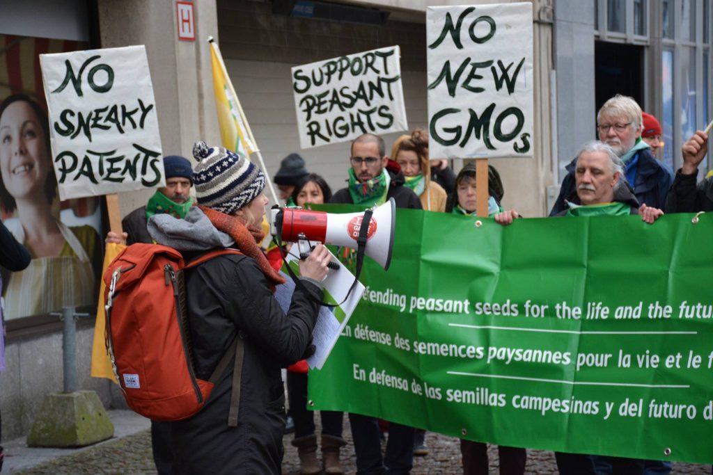 Decision of the European Court of Justice on new GMOs: a historic victory for peasants and citizens of the EU
