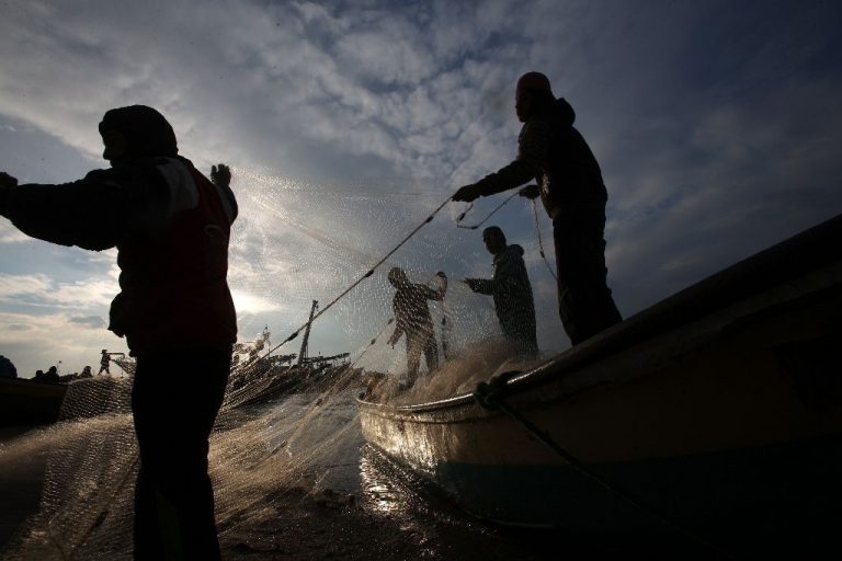 Palestine: UAWC denounces the continuous attacks on Palestinian fisherfolks by naval forces of the Israeli Occupation