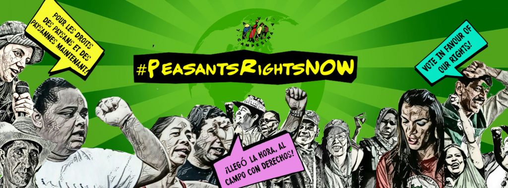 Peasants of the world urge states to adopt declaration on their rights