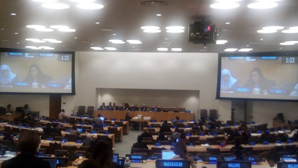 Press Release: Peasants’ Rights Declaration presented before the UN General Assembly