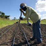 Agroecology as a Tool of Sovereignty and Resilience in Puerto Rico after Hurricane Maria