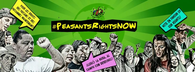Briefing on Rights of Peasants: Side Event, 14 Nov | ECOSOC Chamber,  United Nations Headquarters NY