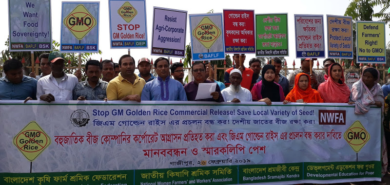 Bangladesh : Peasant movements intensifies the struggle against ‘Golden Rice’