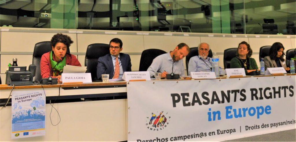 First steps in the roadmap for the implementation in Europe of the Peasants Rights Declaration