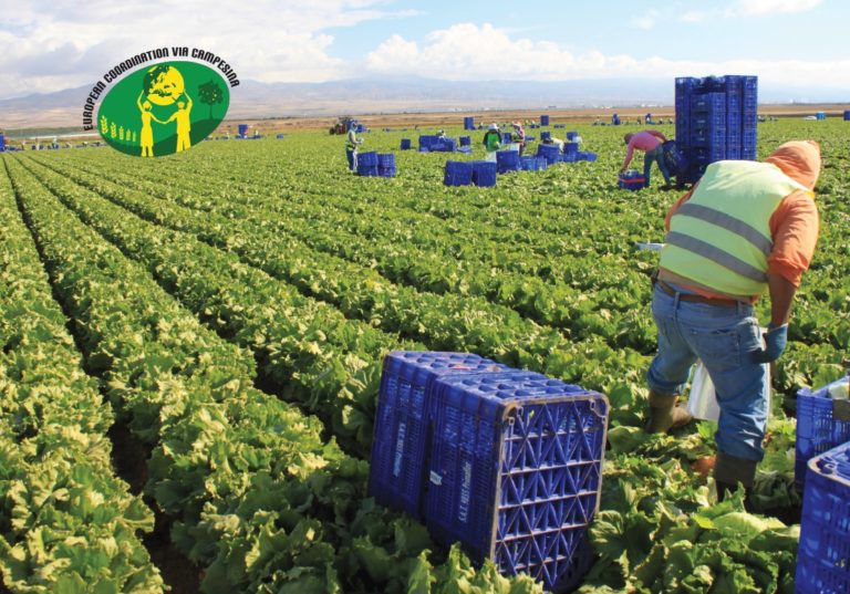 “Agricultural regions in Europe becoming no-rights zones for migrant workers” says new ECVC publication