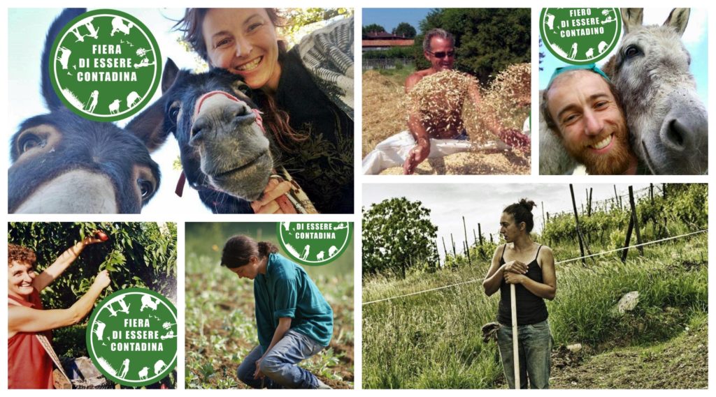 To change the world, support peasant agriculture! reminds ECVC through #17April actions