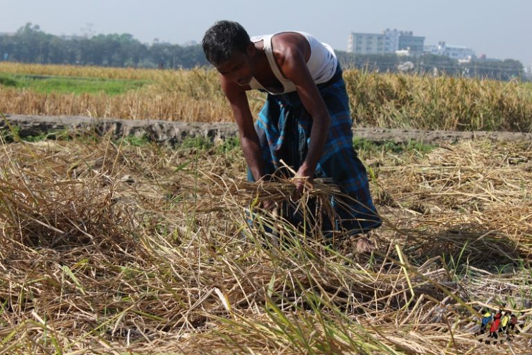 Bangladesh: Farmworkers demand income guarantee and unconditional cash support as COVID 19 cases soar