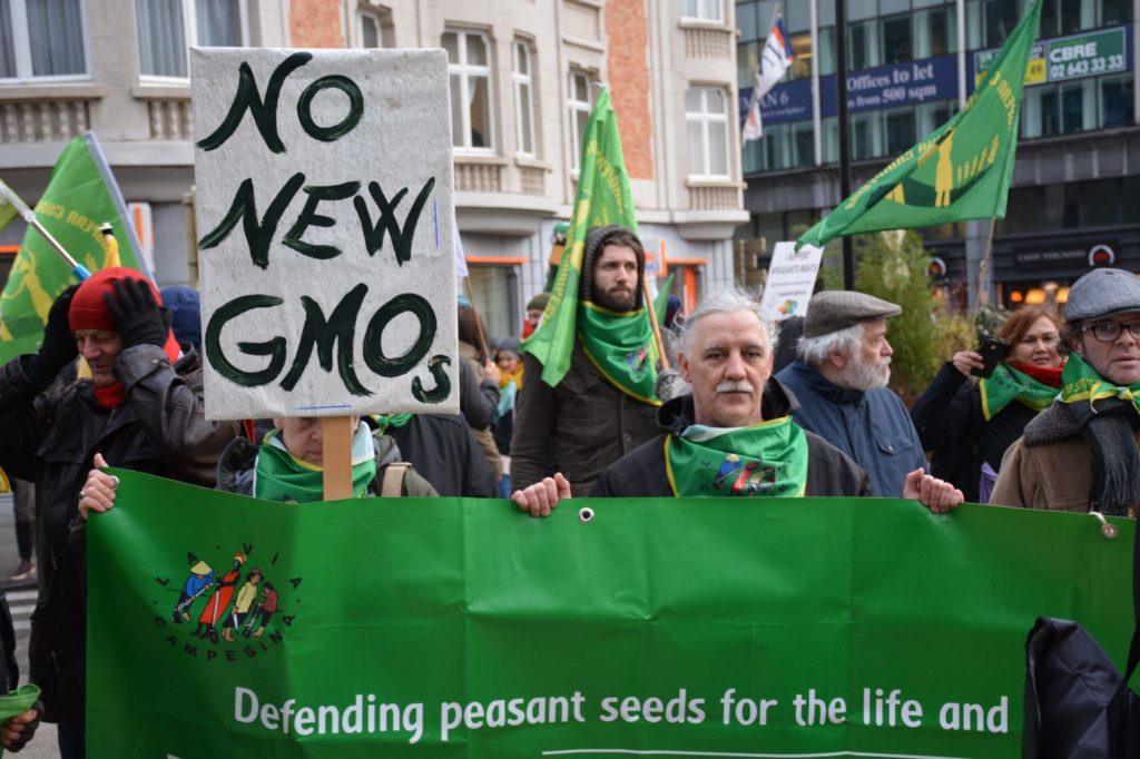 Open letter to the EC: Strengthen EU GMO policy to achieve EU Green Deal objectives