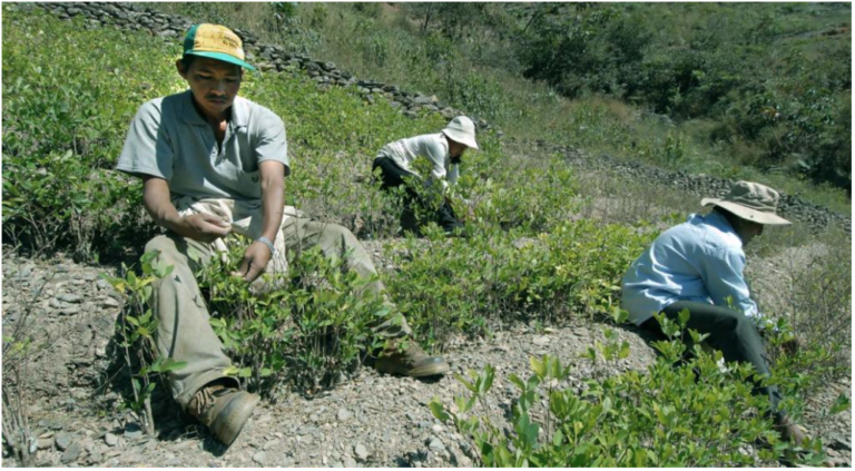 Colombia: Little Progress in the Implementation of the Comprehensive Rural Reform