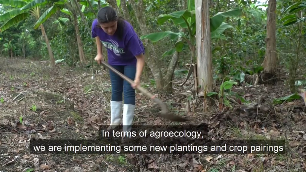 Land, agroecology & peasant identity: The experience of young people in Nicaragua