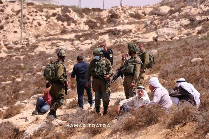 Imminent Massacre Threatens Palestinian Peasants in East Hebron