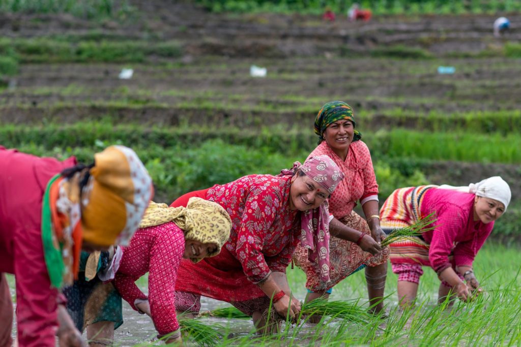Nepal: All Nepal Peasants’ Federation (ANPFA) wins the 2020 Food Sovereignty Prize