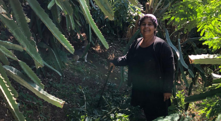 “The Land is Our Mother” testimonies from the Gloria Quintanilla Cooperative – Nicaragua
