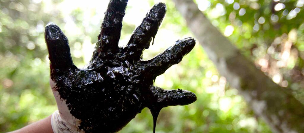 Chevron’s Impunity in Ecuador: Urgent Call from International Civil Society
