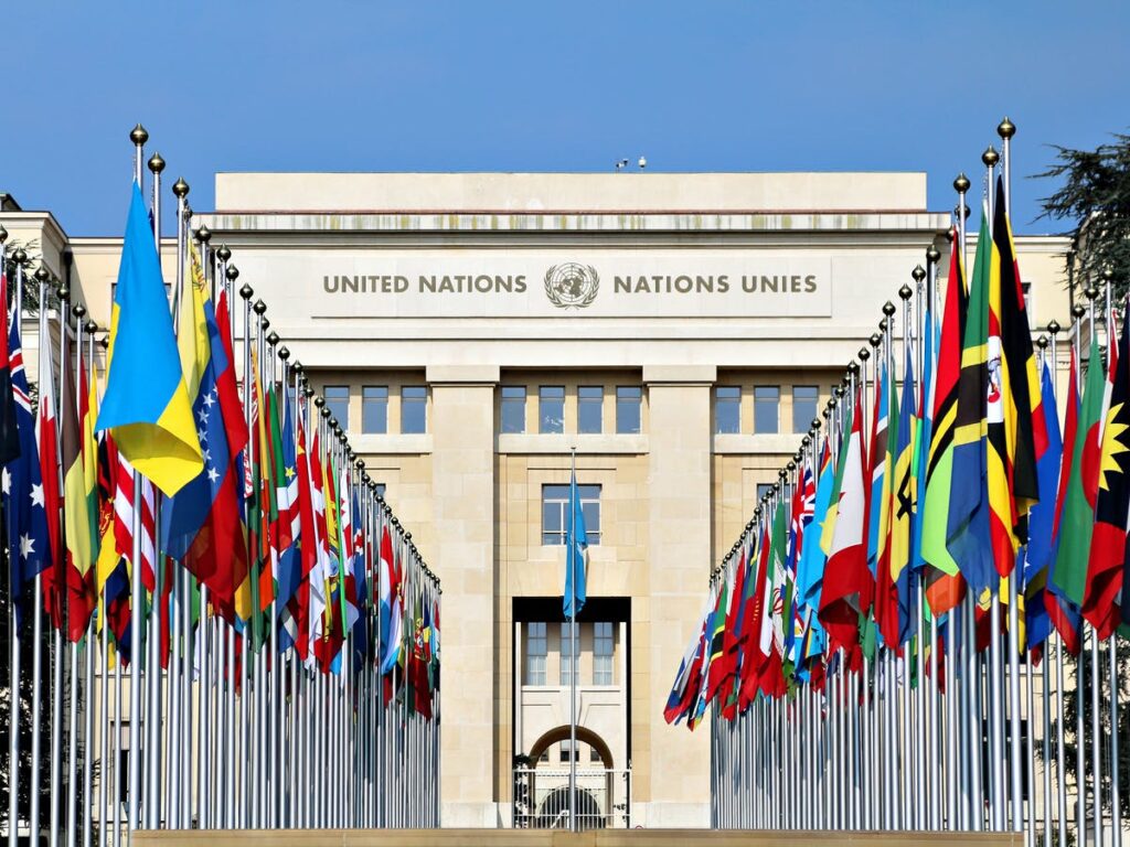 The capture of the UN Summit on Food Systems by agribusiness lobbies denounced at the Human Rights Council