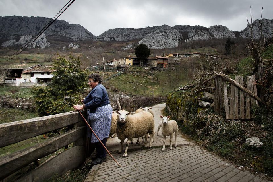 Spain: Peasant women find it more difficult to access agricultural aid