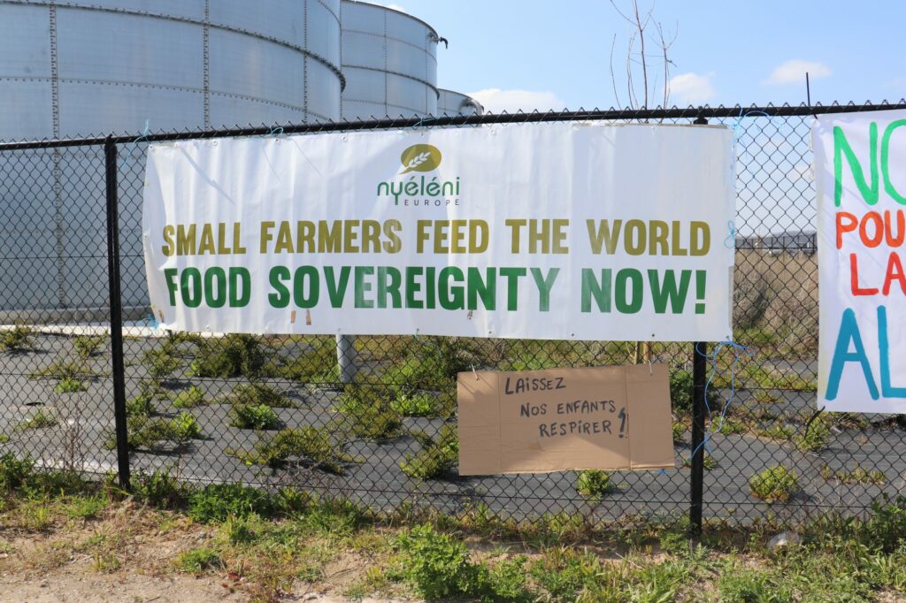 Serious concerns of European farmers’ organisations about the United Nations Food Systems Summit
