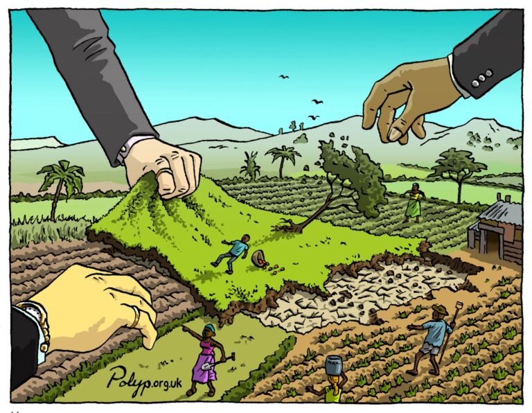 UN Food Systems Summit: The UN and Green Capitalism Attack Food Sovereignty