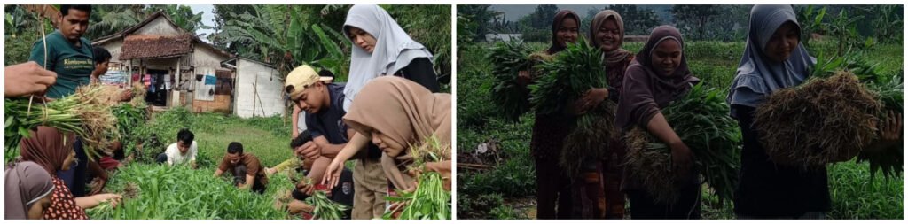 Indonesia: Agroecology Formation for Young Peasants to advance food sovereignty