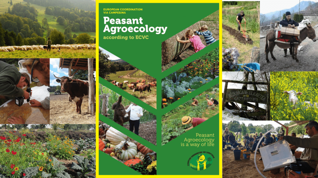 New publication on Peasant Agroecology according to ECVC