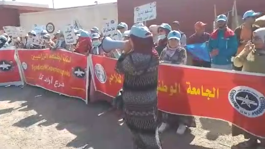 Solidarity with the workers of the food company Sudaphi (Morocco): ECVC