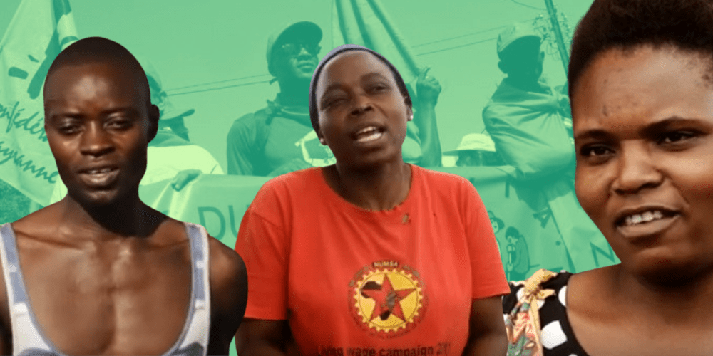 Peasant youth in agroecology | Southern and Eastern African experiences