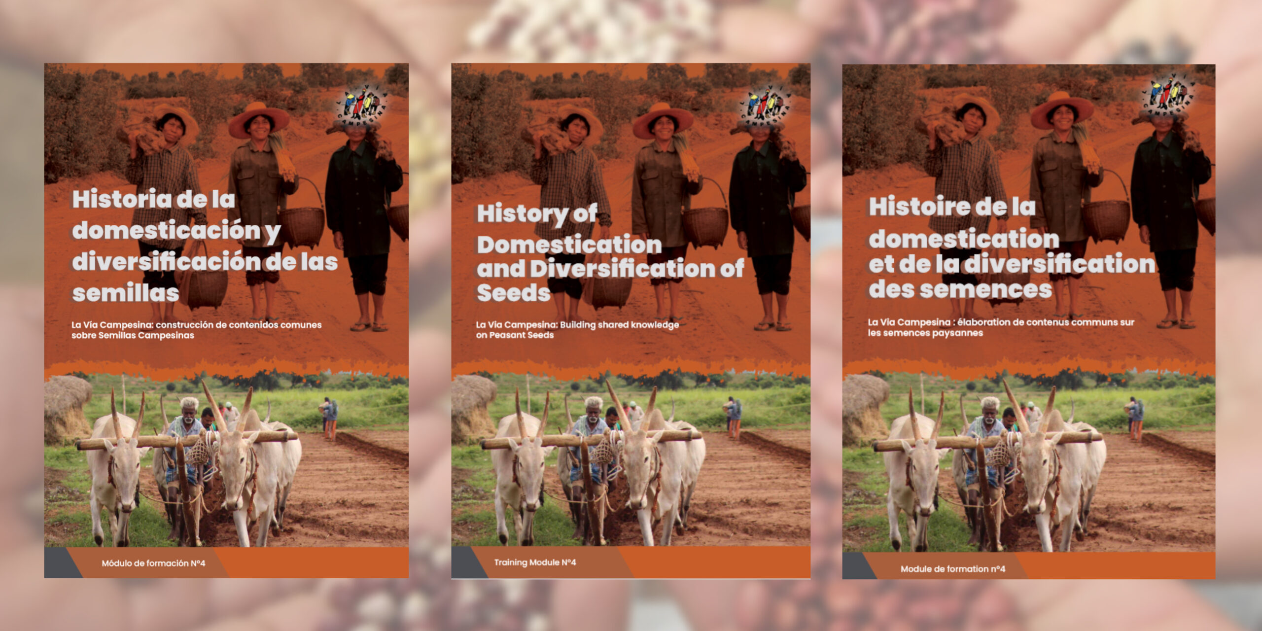 Training module N°4: History of the Domestication and Diversification of Seeds