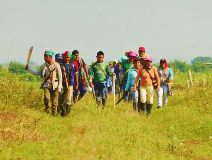 Colombia: Tensions over Land Tenure Escalate
