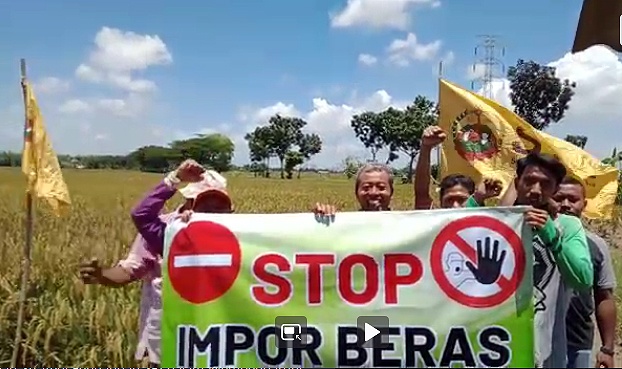 Indonesia: Rice Import Plan 2023 Threatens Peasants and Food Sovereignty