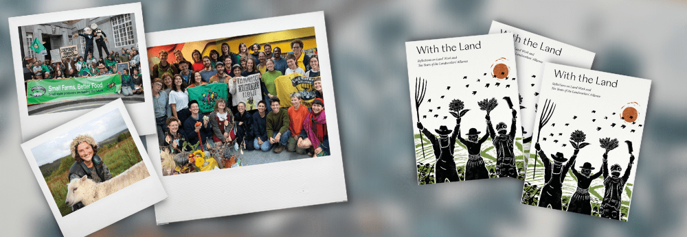 With the Land: Reflections on Land Work and 10 years of the Land Workers’ Alliance
