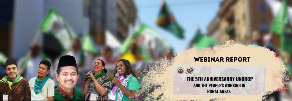 Five years since the UN Declaration on Peasants’ Rights: Time to turn it into a tangible reality for peasants worldwide