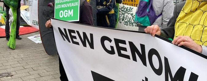 ECVC welcomes the EU Council’s decision to block the deregulation of GMO-NGTs and condemns the European Parliament’s hasty approval of an incoherent and unenforceable proposal