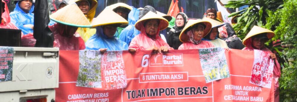 Rice imports lead farmers to bankruptcy, endangers food sovereignty: Serikat Petani Indonesia