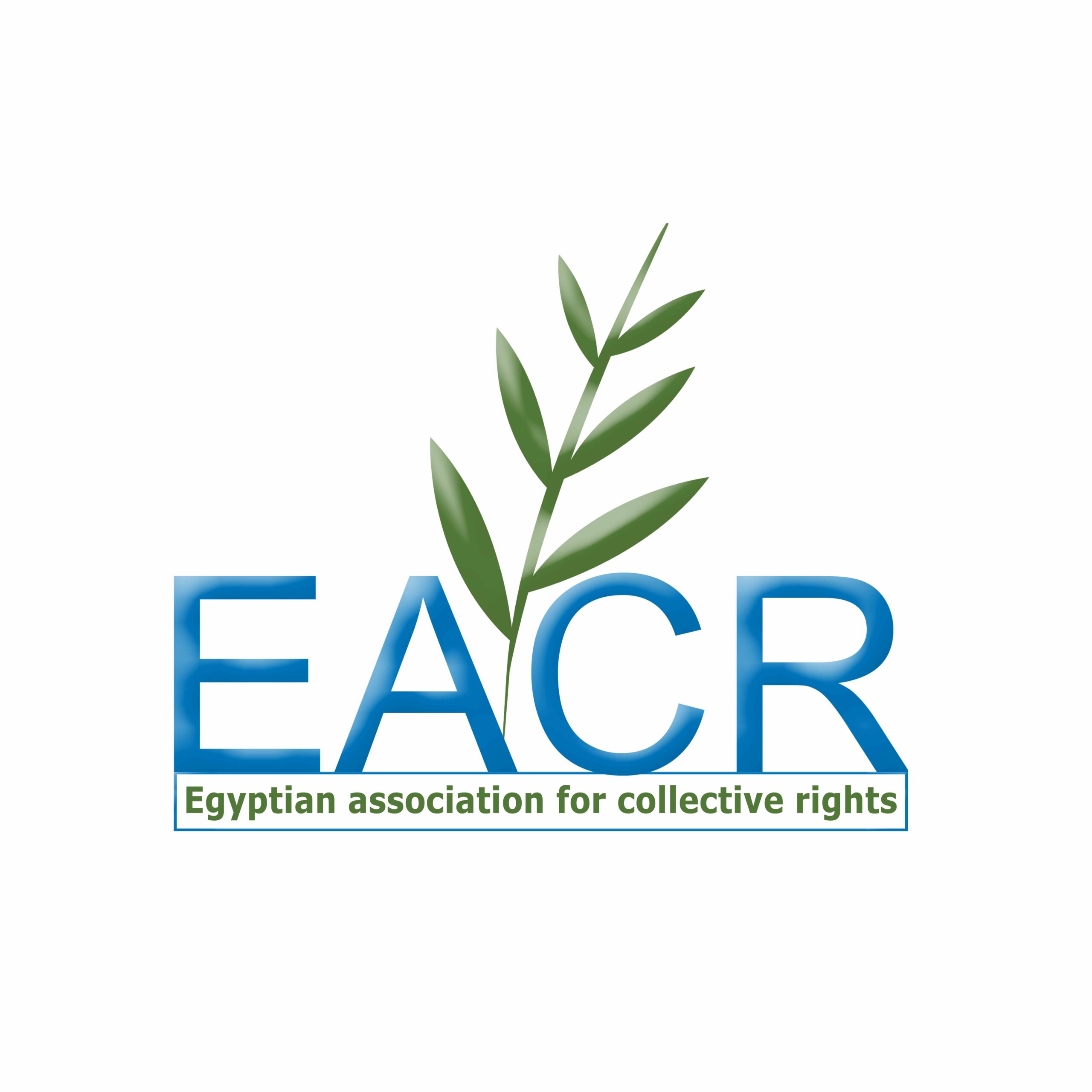 Egyptian Association For Collective Rights