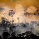Brazil: Environmental crisis – How long do you have to wait to start making changes ?