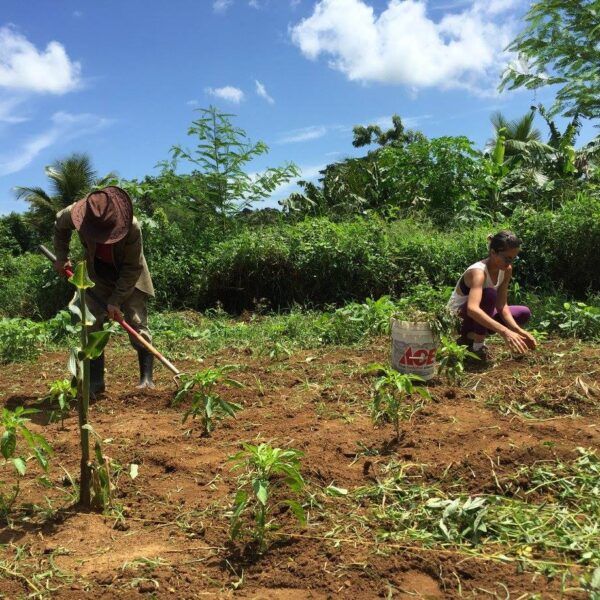 Podcast: Peasant Agroecology Cools Down the Planet