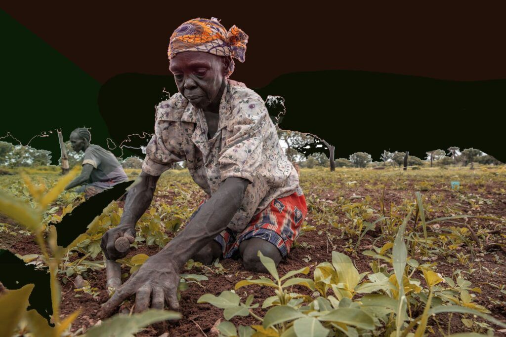 ARNA Solidarity with Sudanese Peasants Amidst Civil War