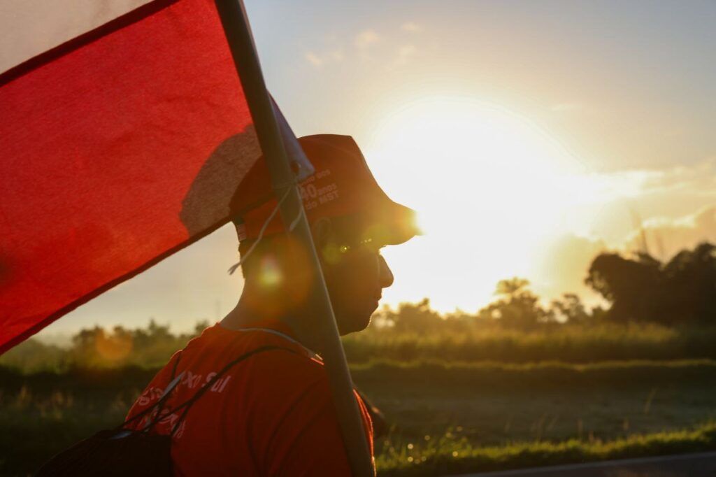 Agribusiness is the main responsible for the loss of native vegetation in Brazil, says study