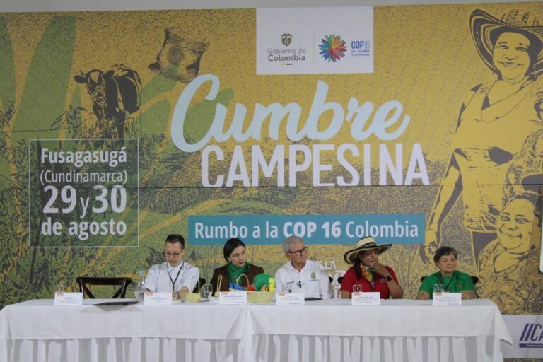 Colombia: Declaration from the Peasants’ Summit as preparations for Biodiversity COP16 gather pace