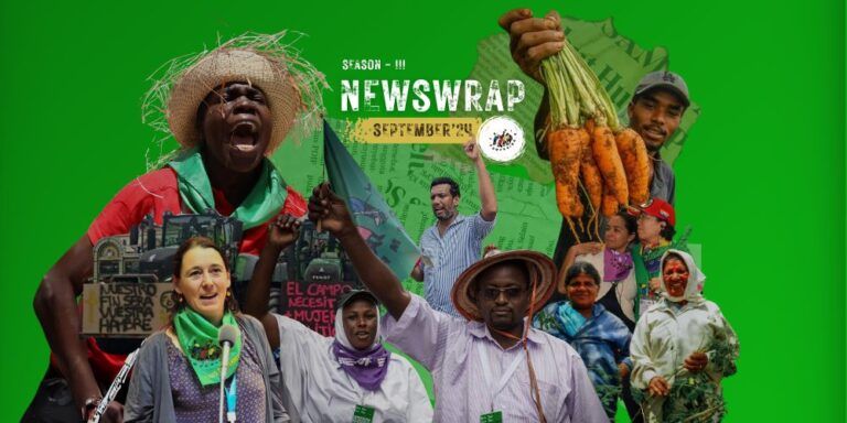 2024 | September Newswrap: Updates from Member Organizations Worldwide