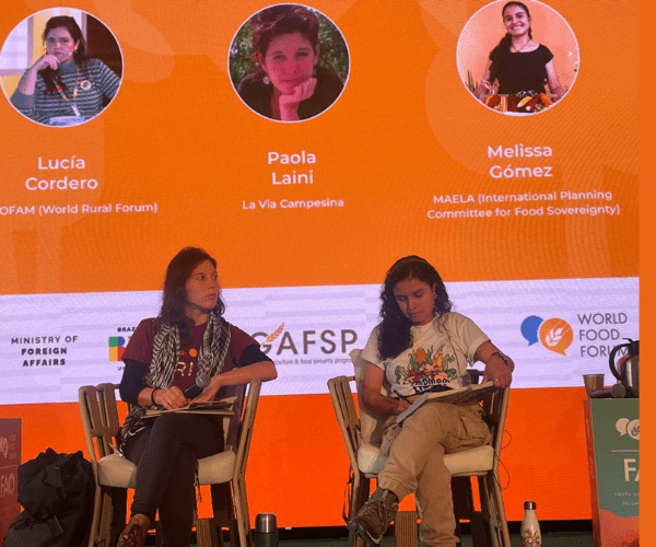 ‘Peasant seed systems prove that innovation is not always digital’, says Paola Laini of La Via Campesina at the UNDFF Midterm Forum