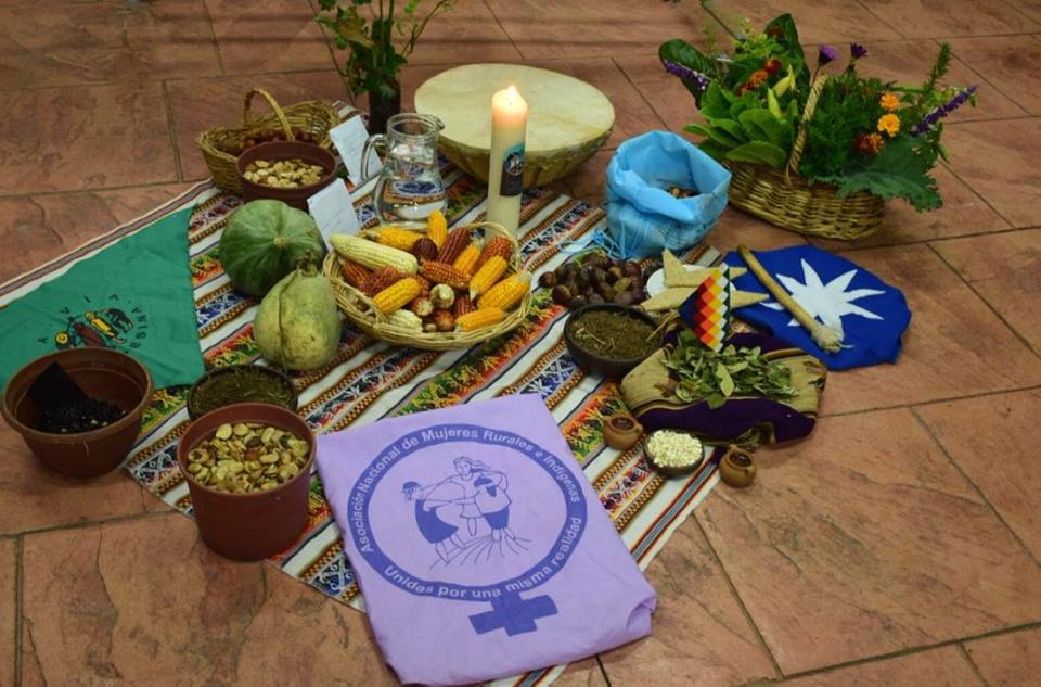 Chile: Las mujeres productoras campesinas e indígenas de Anamuri reafirmamos nuestra lucha por alimentar nuestros pueblos y cambiar el mundo!